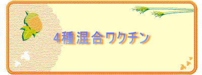 4퍬N`